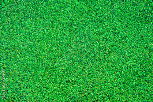 bright green background of artificial surface on the sports ground. small textural elements of green color