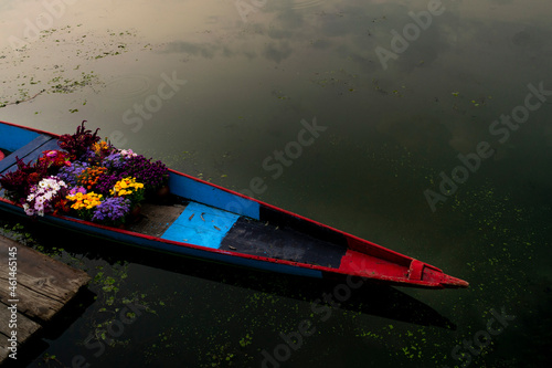 Wooden small boat standing near the dock with flowers in Dal Lake, Srinagar, Kashmir, India