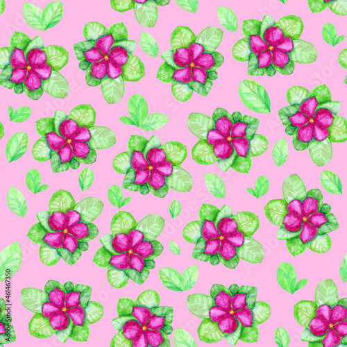 Wallpaper Mural watercolor seamless patterns for design, decoration with 
flowers and leaves with pink background Torontodigital.ca