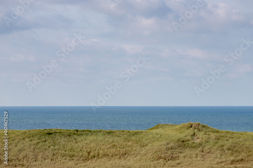 Summer landscape  Overview from the dunes or dyke at Dutch north sea coastline with european marram grass  beach grass  along the dyke under blue clear sky  Noord Holland  Netherlands.