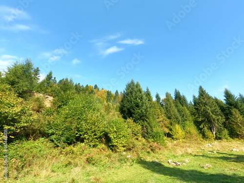 Carpatian  landscape. mountain and forest