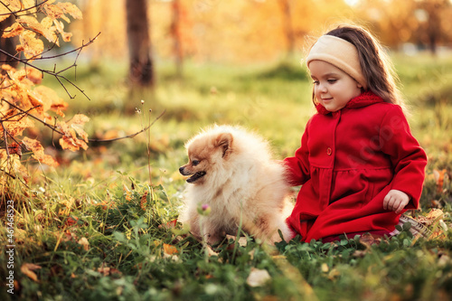 child plays with a puppy on the grass