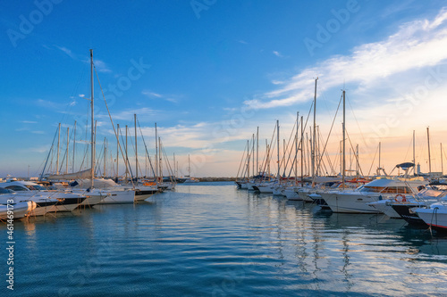 yachts in the harbour of trapani photo