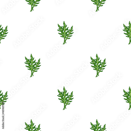 Seamless pattern bunch arugula salad on white background. Simple ornament with lettuce.