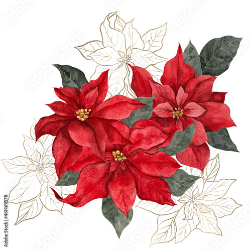 Watercolor illustration with red  white and graphic poinsettia  isolated on white background