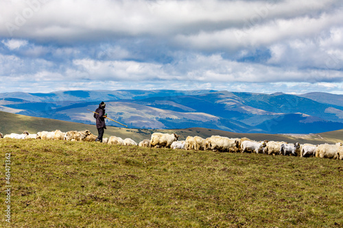 Romanian herder in the carpathian  photo