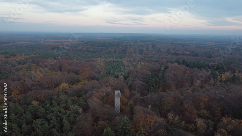 Forest View Netherlands Autumn with Tower