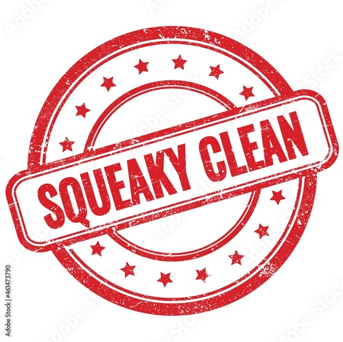 Obraz na plátně SQUEAKY CLEAN text on red grungy round rubber stamp.