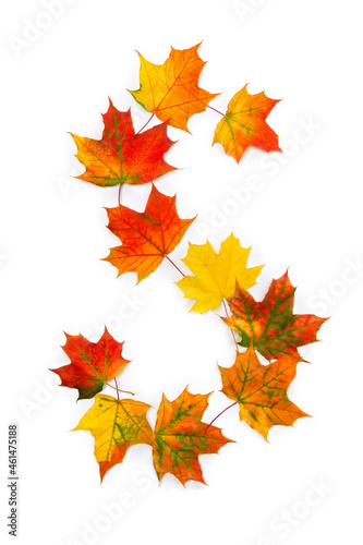 Letter S of colorful autumnal maple leaves on white background. Top view, flat lay
