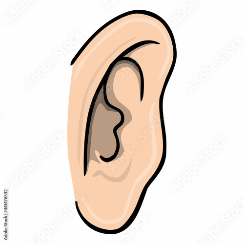 human ear vector illustration