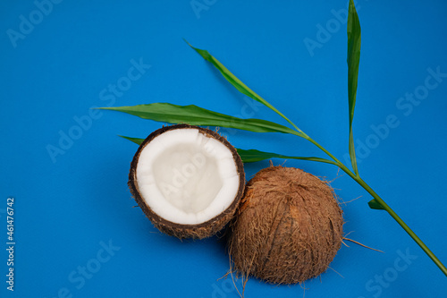 halves of fresh coconut on a blue background.
