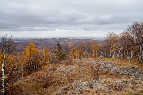 Mountain landscape in cloudy weather, mountains covered with autumn forest, obese clouds fly low over the horizon. © Aleksey