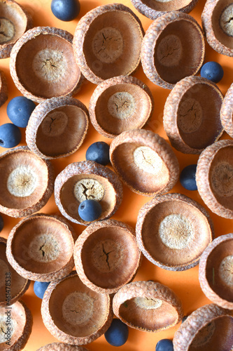 photo of blue berries and brown hats with hazel on an orange background