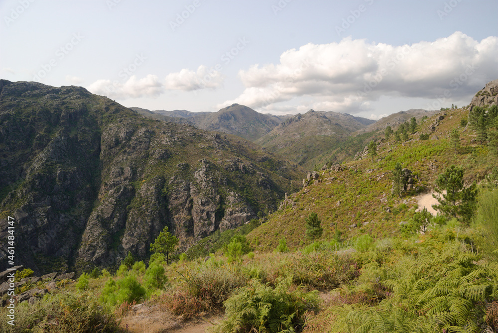 Paisagem de montanha sem habitações e sem pessoas, dia quente de verão - flora e céu com nuvens