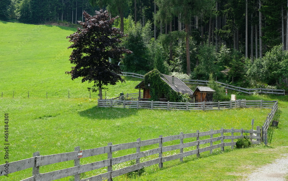 wooden fence between forest and meadow in the mountains wooden fence between forest and meadow in the mountains
