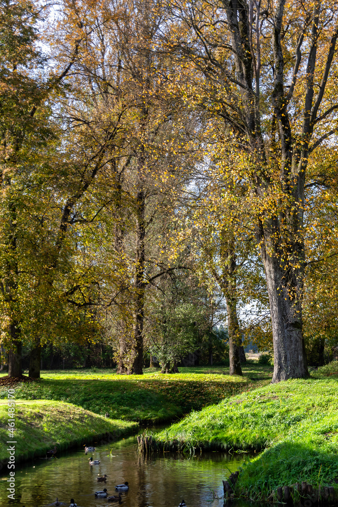 Park w zespole pałacowo-parkowym Branickich w Choroszczy, Podlasie, Polska