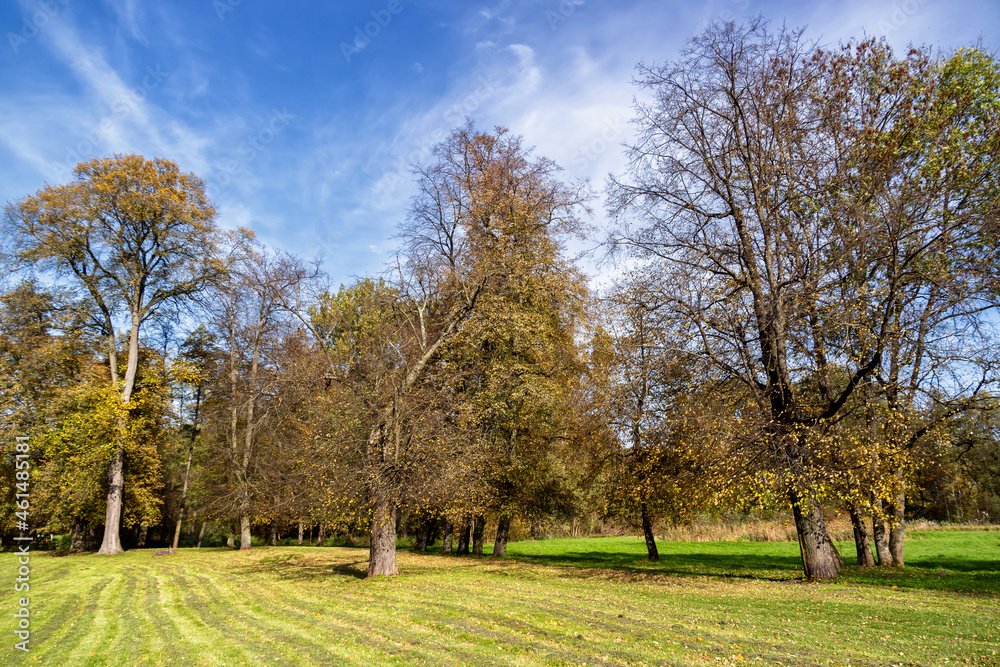 Park w zespole pałacowo-parkowym Branickich w Choroszczy, Podlasie, Polska Park w zespole pałacowo-parkowym Branickich w Choroszczy, Podlasie, Polska