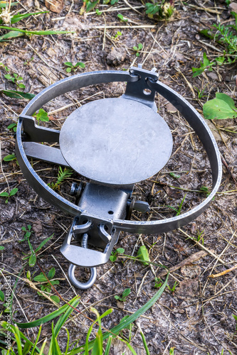metal veiled trap , masked in green grass , hunting snare device for catching beasts close up