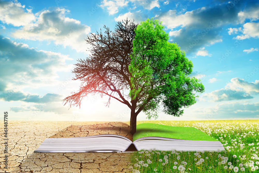 Open book with live and dead tree. Global warming or climate change