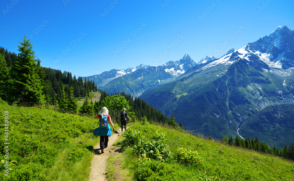 Turists on mountain trail in the Nature Reserve Aiguilles Rouges, Graian Alps, France, Europe.