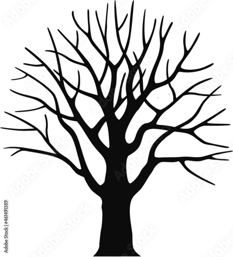 silhouette of a tree