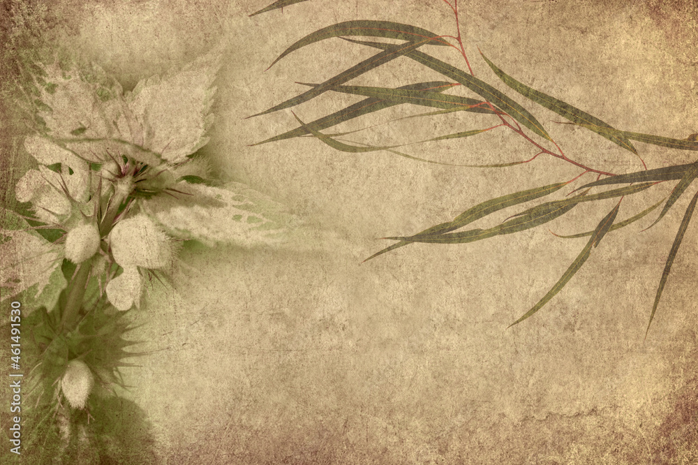 Fototapeta premium Old paper textured background with flowering plants. Copy space is available. Vintage style image. Lamium moschatum or Musk deadnettle wildflower and eucalyptus tree branch. Nature. Details