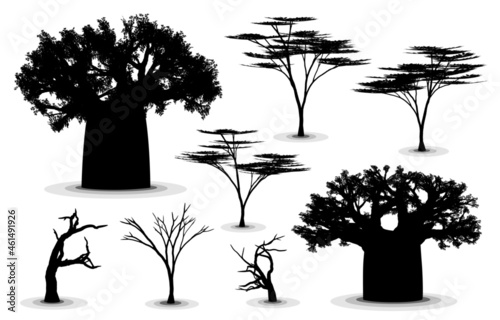 Fototapete Trees of the African savanna