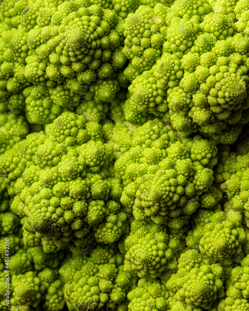 A closeup view of a head of romanesco, highlighting the intricate details and texture A closeup view of a head of romanesco, highlighting the intricate details and texture