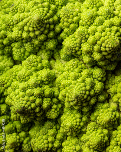 A closeup view of a head of romanesco, highlighting the intricate details and texture photo