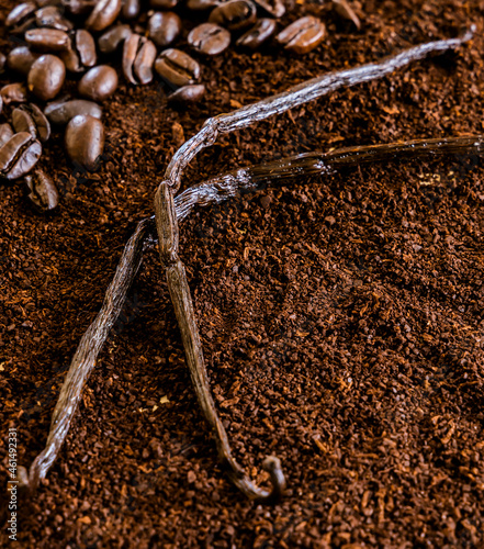 Coffee beans  grinded with vanilla beans background. Naturaly flavored vanilla coffee photo