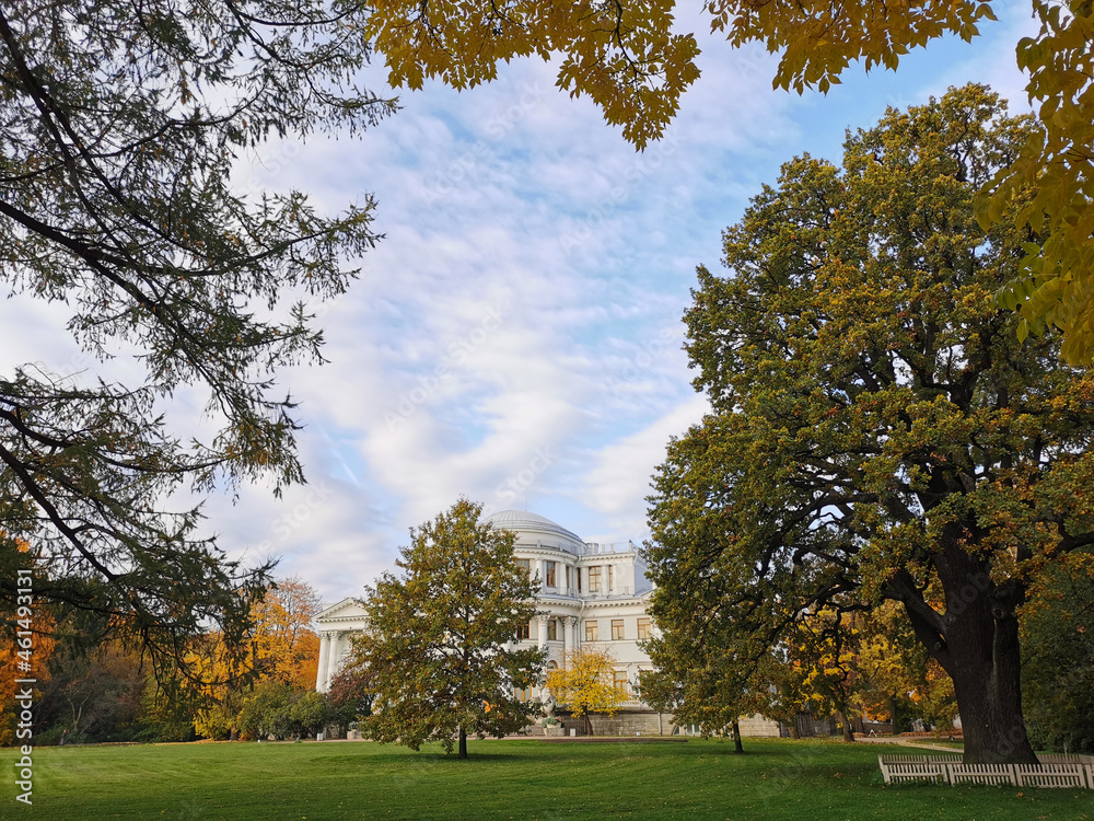 View of the Elaginoostrovsky Palace and a three-hundred-year-old English oak tree from under the branches of a larch in the park of St. Petersburg
