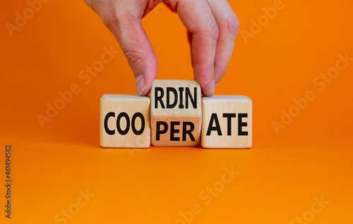 Coordinate and cooperate symbol. Businessman turns wooden cubes and changes the word 'cooperate' to 'coordinate'. Beautiful orange background. Coordinate, cooperate and business concept. Copy space.