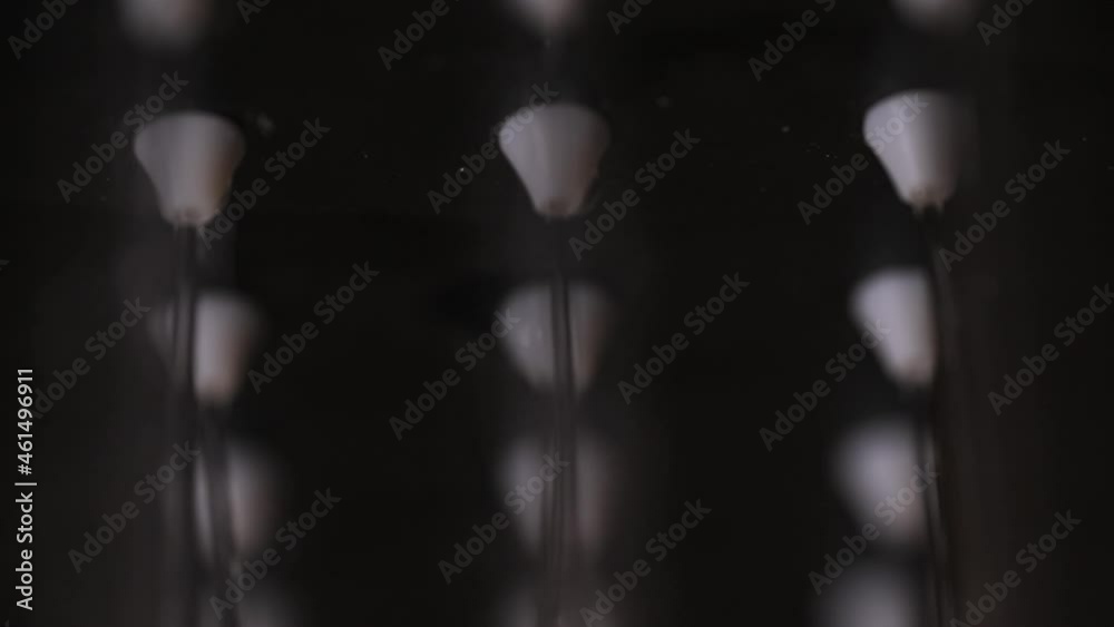 Jets of fresh water streaming from the nozzles of a shower head Jets of fresh water streaming from the nozzles of a shower head