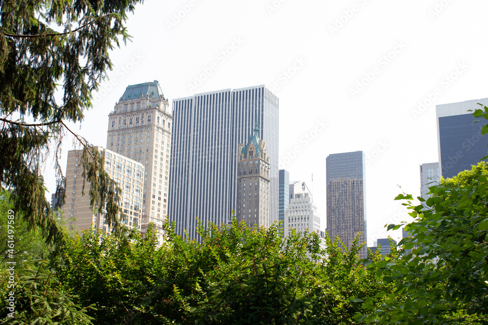 skyscrapers in the city rom central park, new york