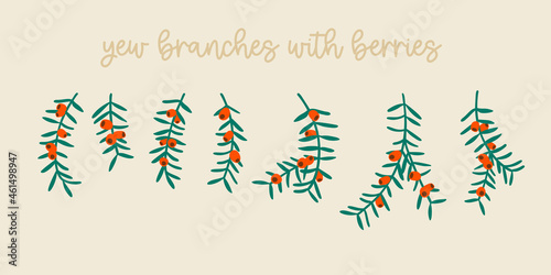 Yew tree branches with berries. Christmas symbol great for Christmas wreaths and arrangements. Vector drawing isolated.