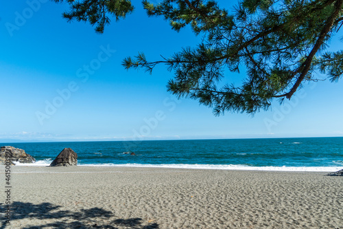 桂浜