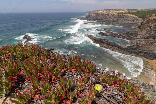 panoramic landscape of cape Sardão , Alentejo , Portugal