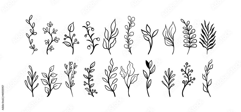 Hand drawn floral elements (laurels, leaves, flowers and branches). Wild and free. For invitations, greeting cards, Wedding Frames, posters. Nature ornaments. Hand drawn floral elements (laurels, leaves, flowers and branches). Wild and free. For invitations, greeting cards, Wedding Frames, posters. Nature ornaments.