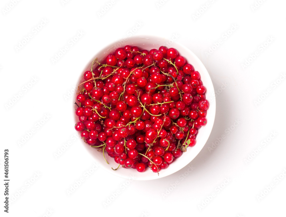 Red currant berry in a white bowl. View from above. Studio photography Red currant berry in a white bowl. View from above. Studio photography