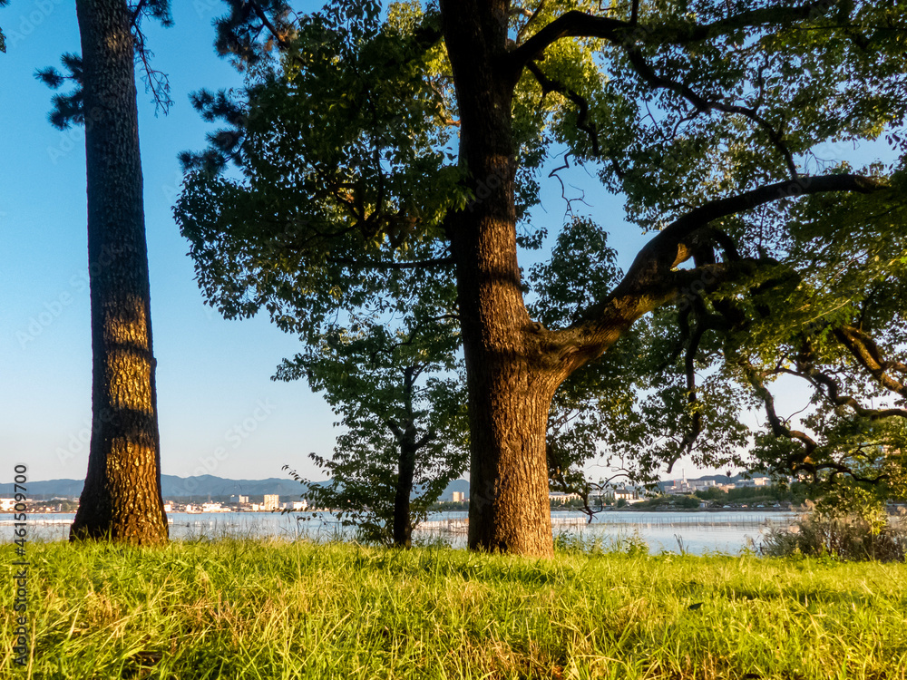 Fototapeta premium 秋の滋賀県大津市 膳所城跡公園の夕暮れ