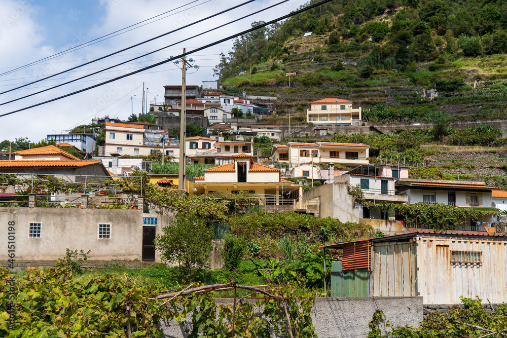 Obraz premium Madeira im Sommer