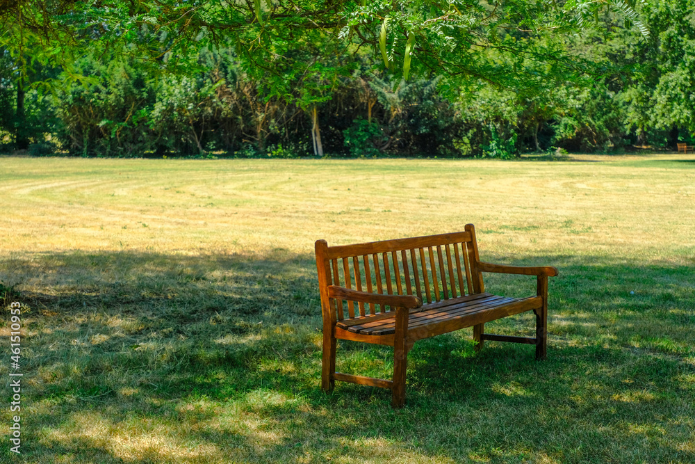 Empty wooden bench in the park across green nature. Loneliness, meditation, relax concept