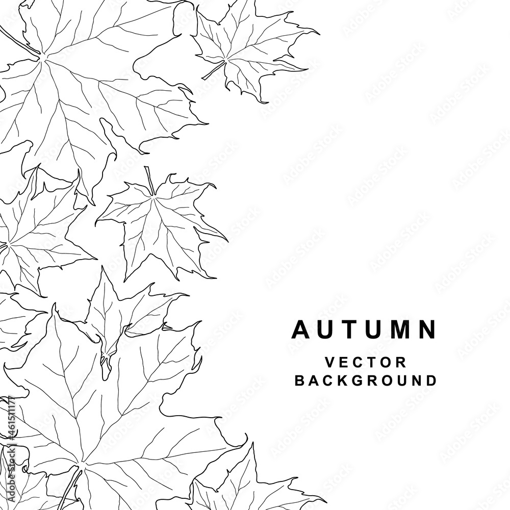 Hand drawn frame with maple leaves. Border from black foliage graphics
isolated on white background. Design template. Vector illustration