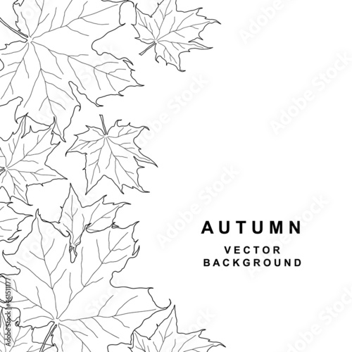 Hand drawn frame with maple leaves. Border from black foliage graphics
isolated on white background. Design template. Vector illustration
