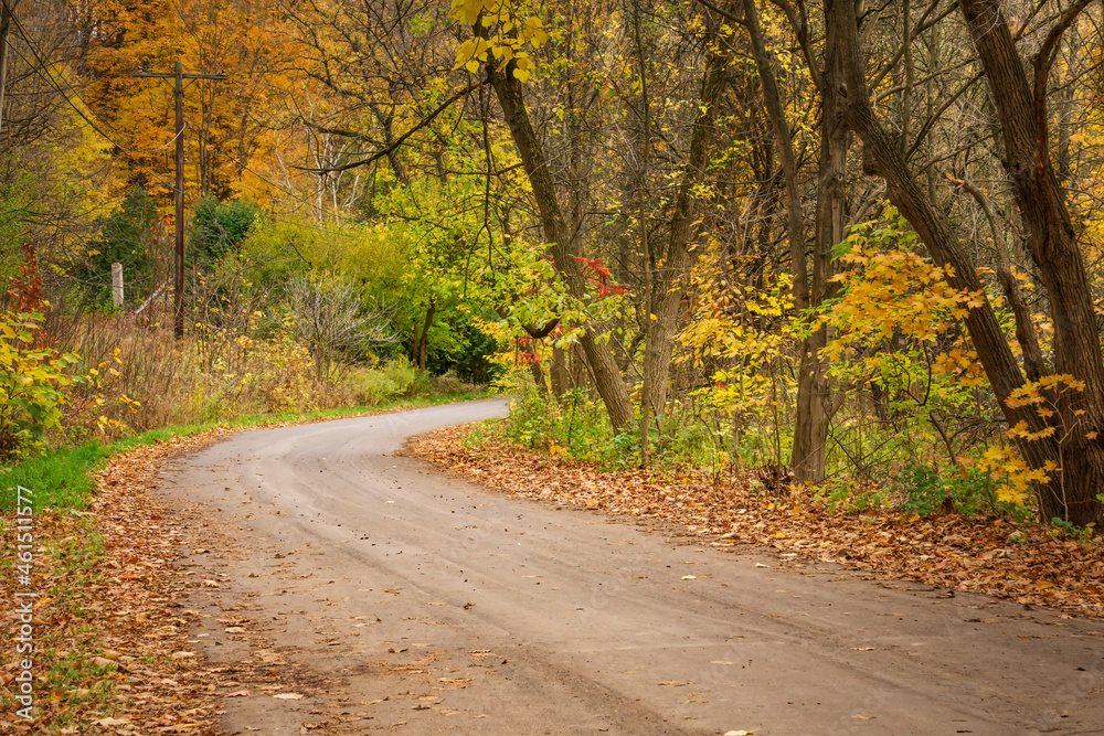 A dirt country road with telephone line curves into a colourful fall forest on an overcast afternoon
