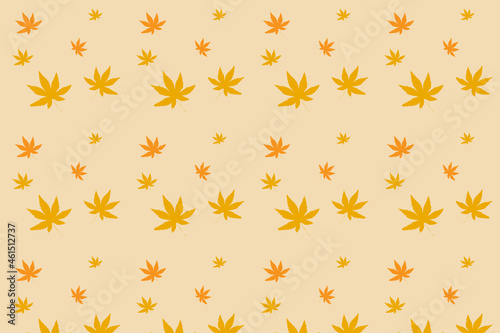 maple pattern on isolated background 