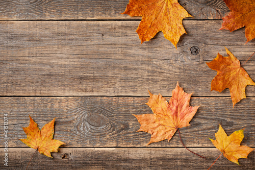 Autumn background with fall maple leaves on wooden background
