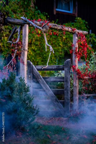 Drewniana furtka we mgle w jesiennych kolorach photo