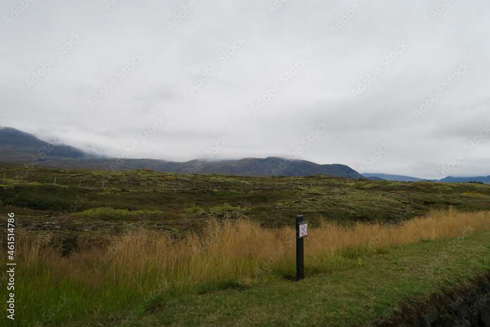 Fototapeta premium A nature view of Iceland