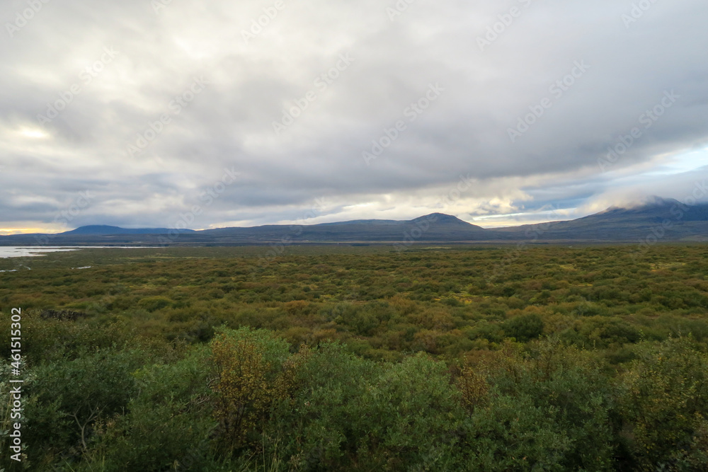 A nature view of Iceland